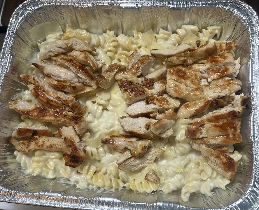 Chicken Alfredo-Family.
