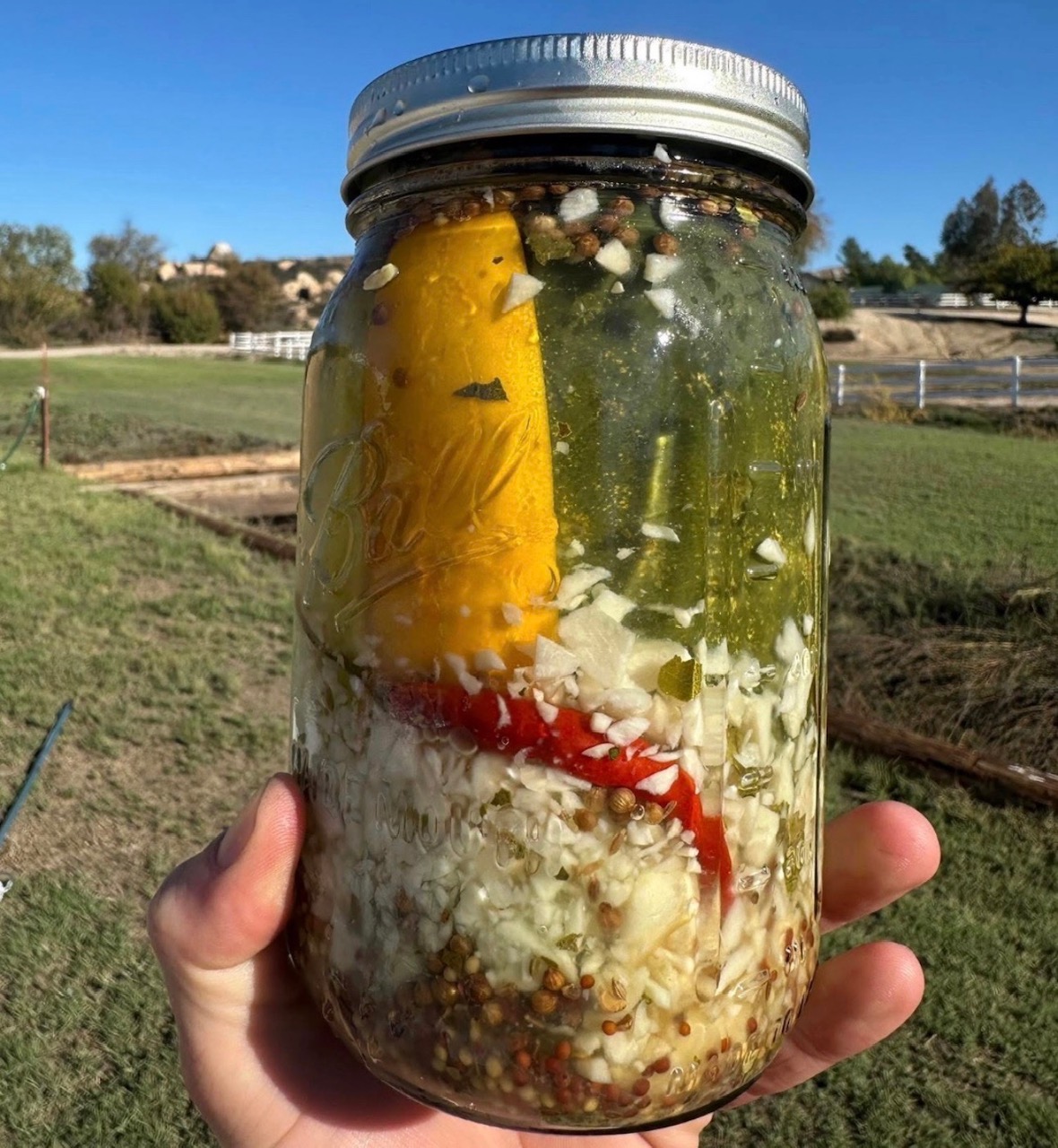 PICKLES BY FRENCH VALLEY FARMS FROM TEMECULA.