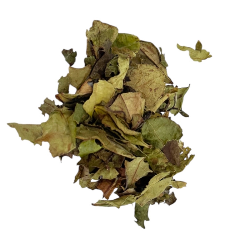 Guizhou (White) - Hot 16 oz.