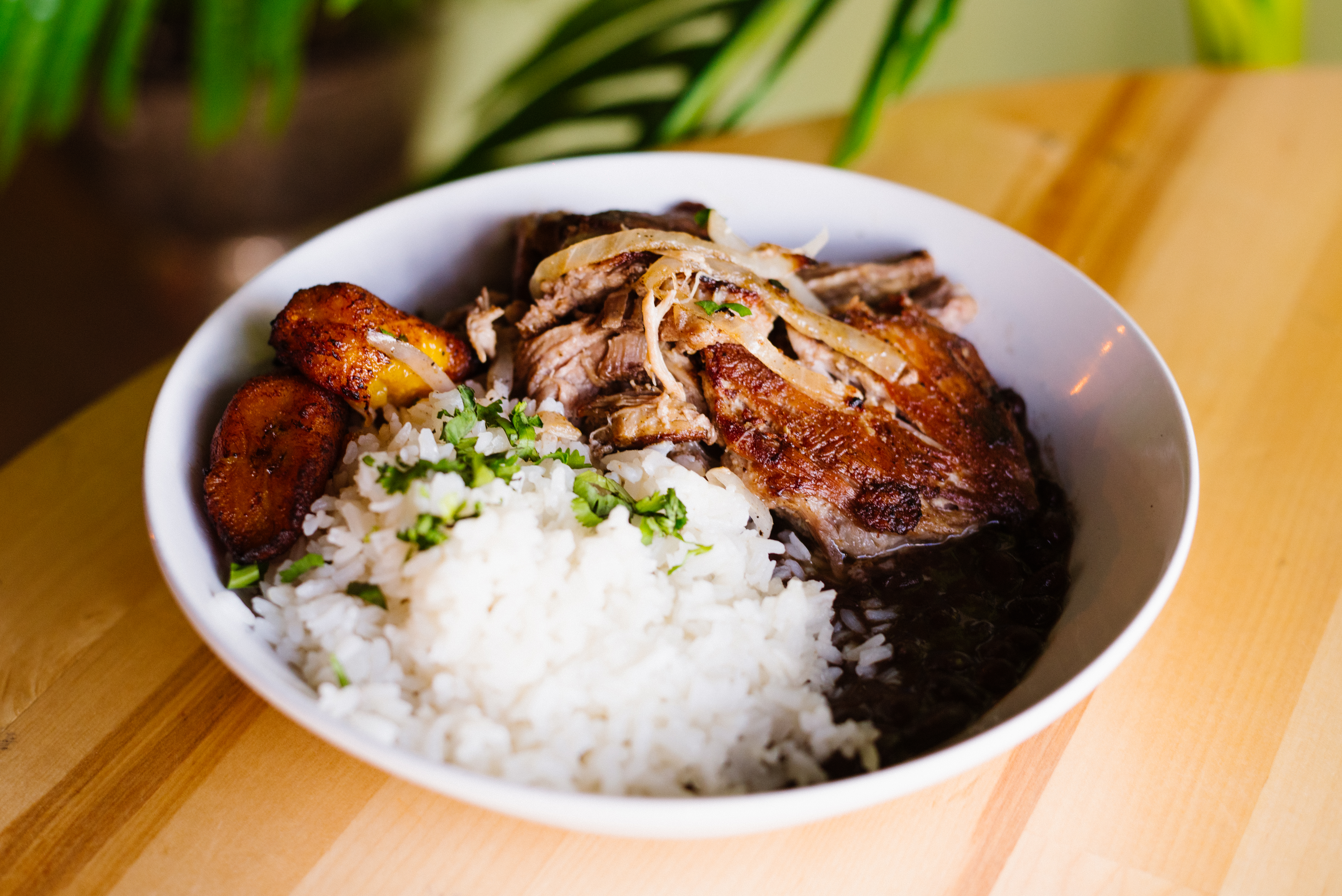 Lechon Asado Bowl.