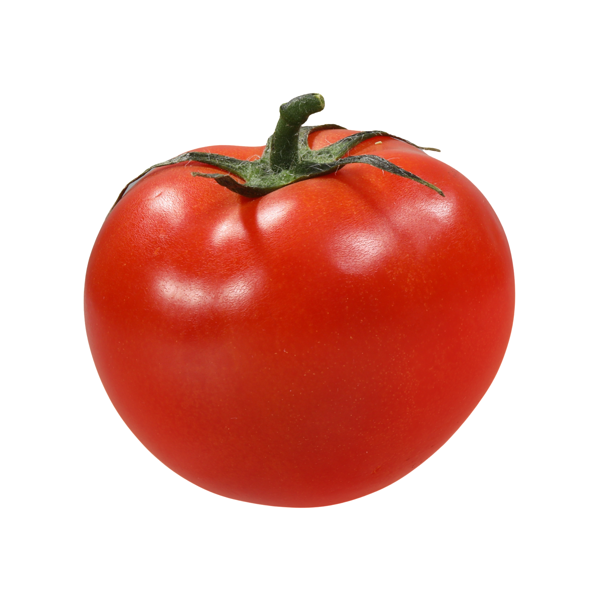 Tomato.