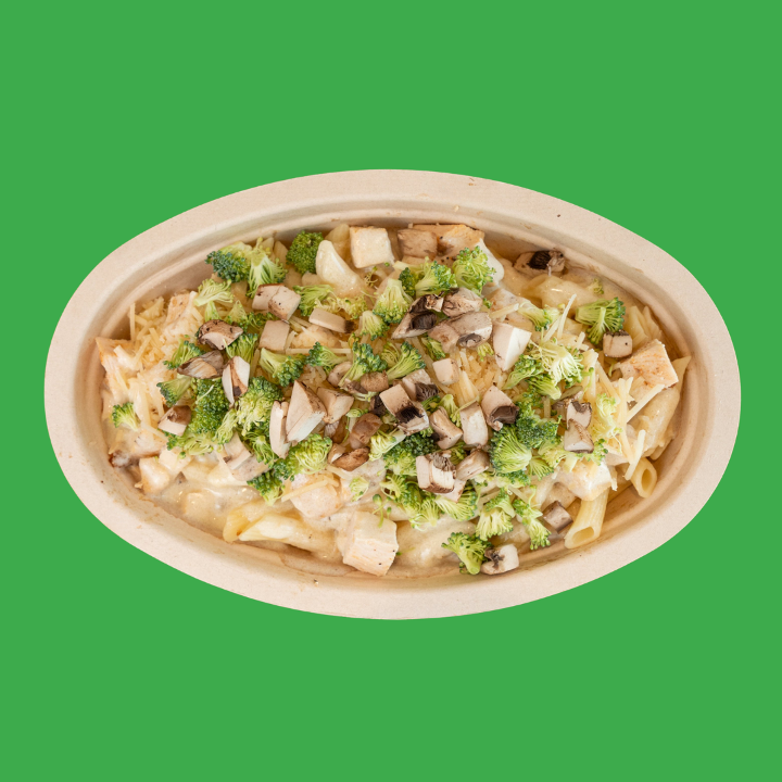 Alfredo Pasta.
