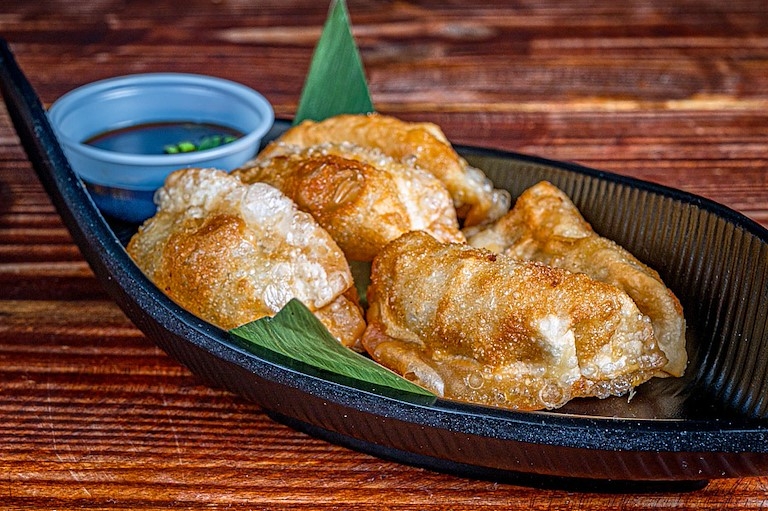 Tiesto Gyozas.