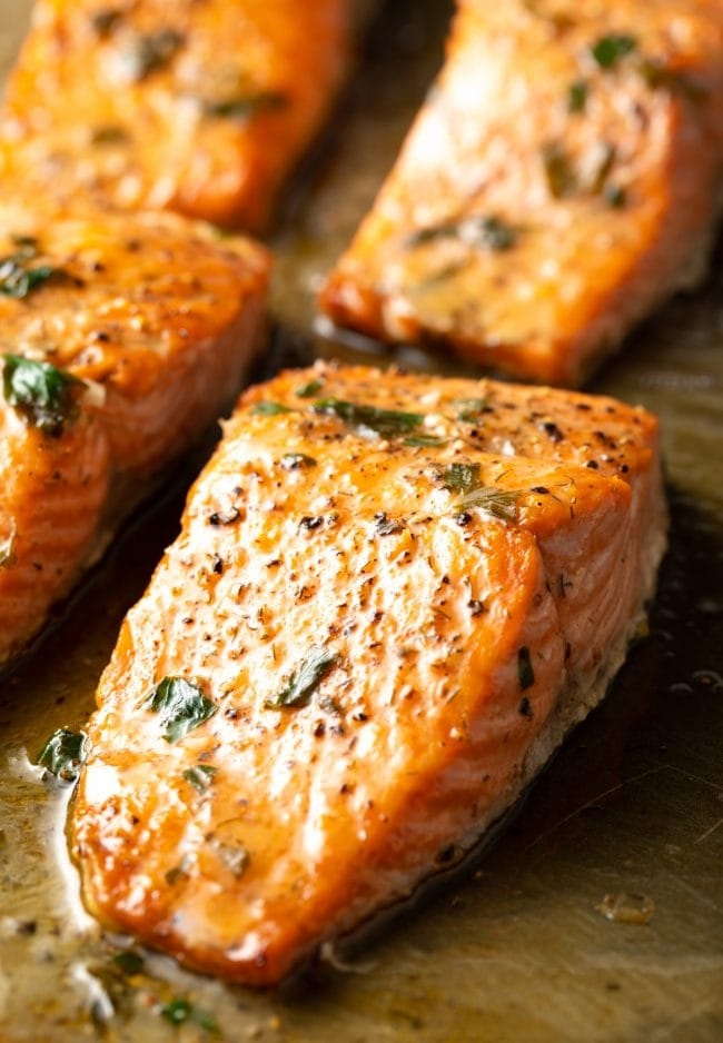 BROILED SALMON- GS.