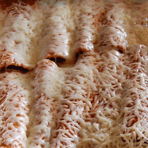 Chicken Enchiladas Platter.