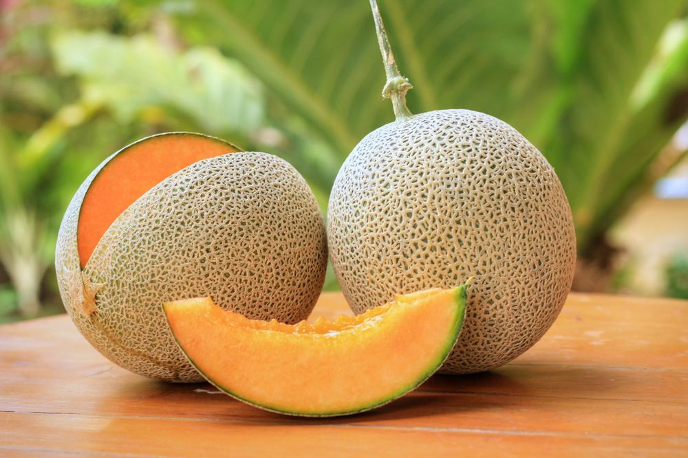 Melon (In Season).