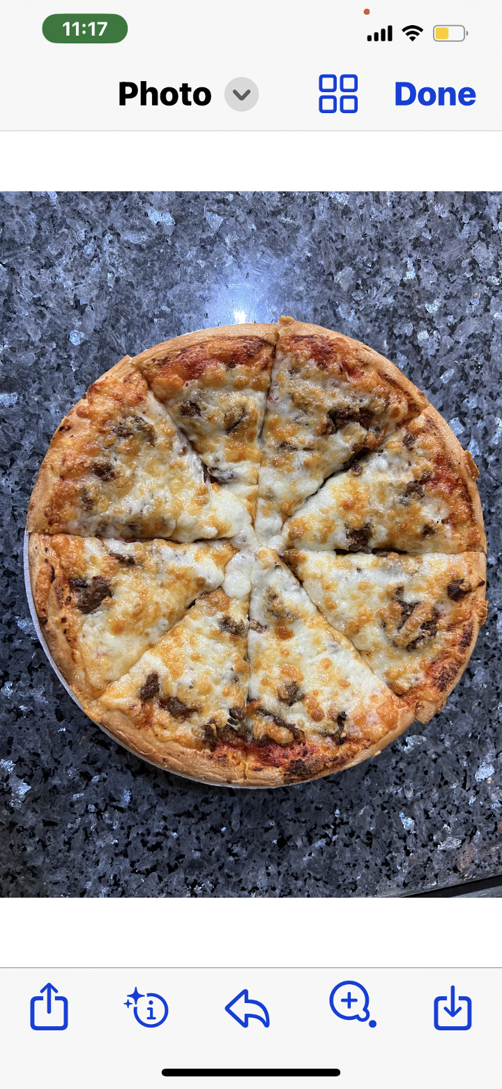 Hamburger Pizza.