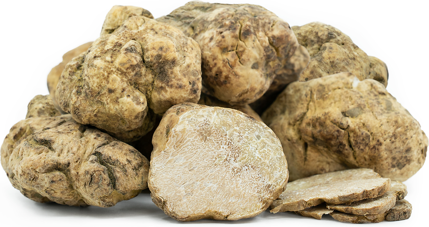 White Truffle Oil Bottle.