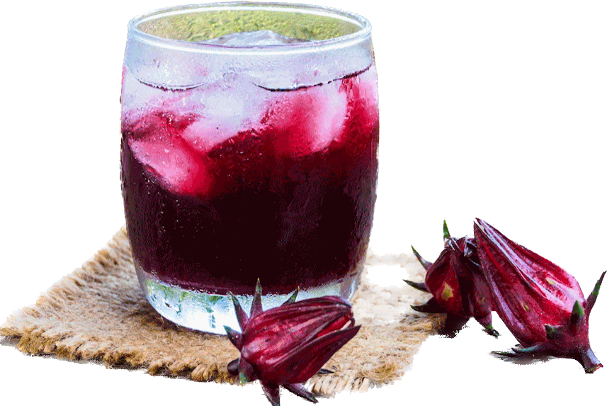 Hibiscus roselle.