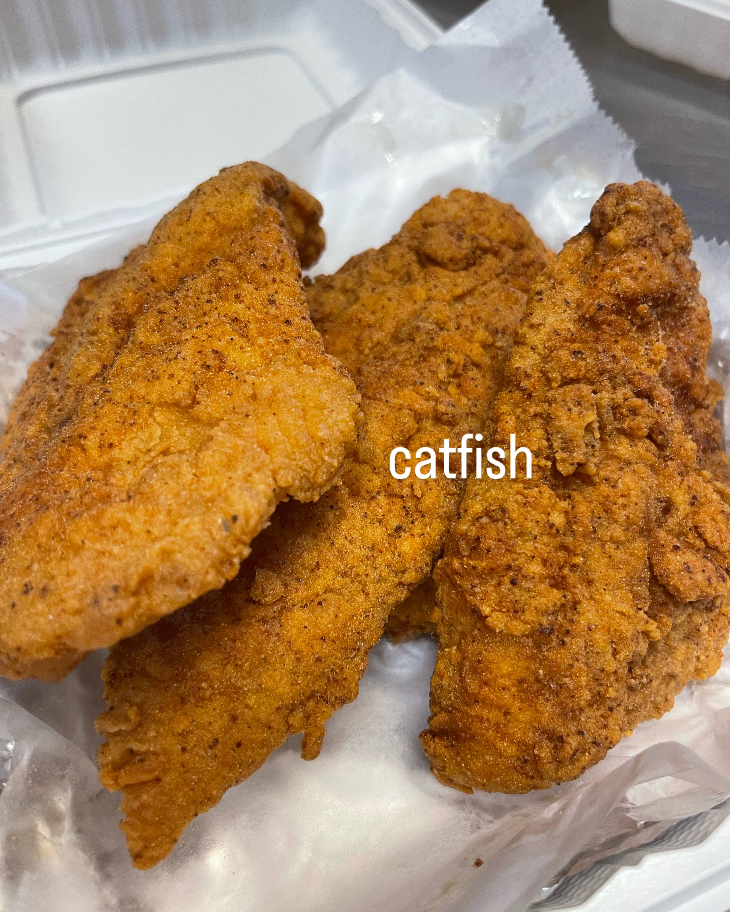 Cat fish (2).