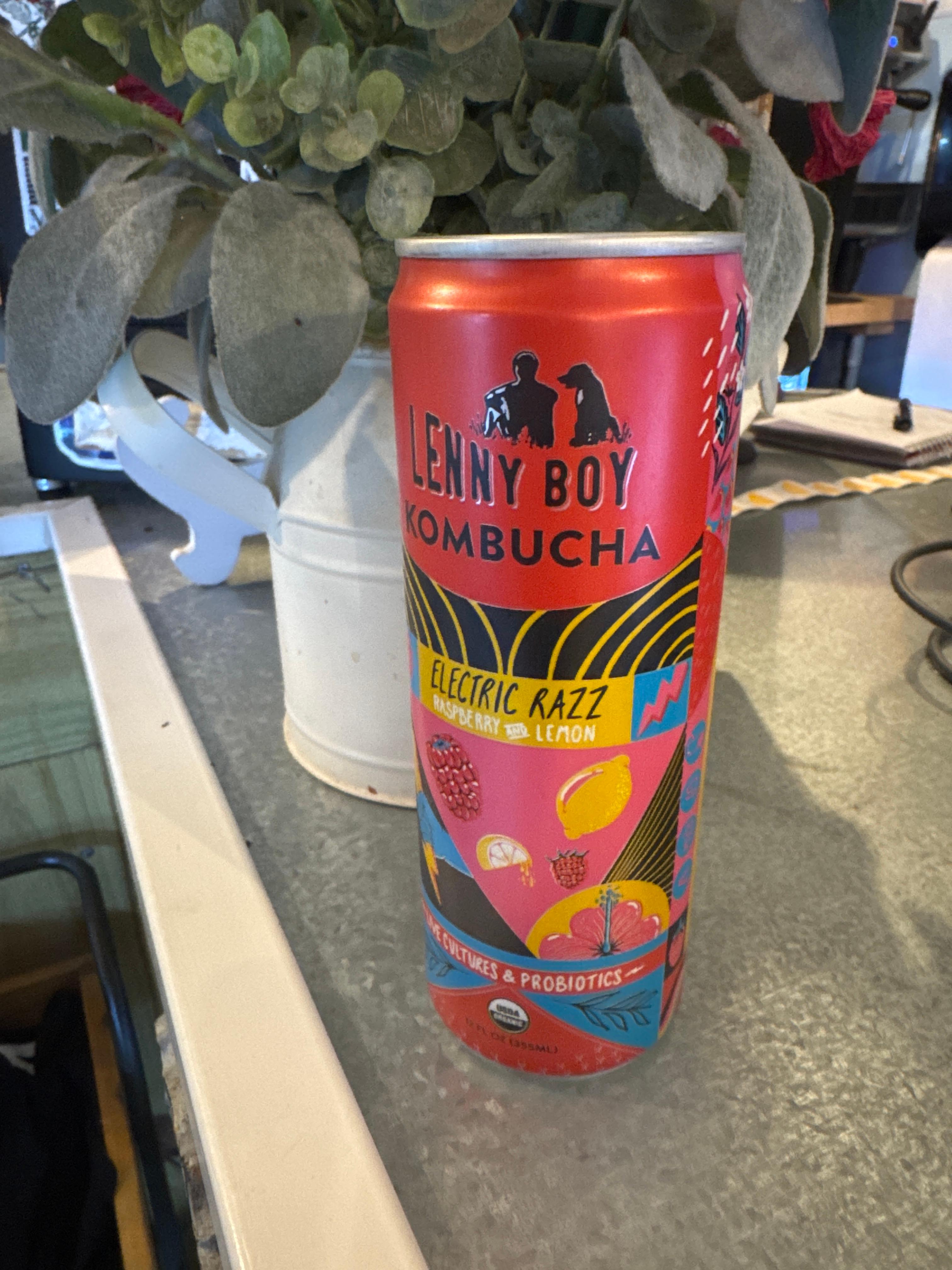 LENNY BOY ELECTRIC RAZZ.