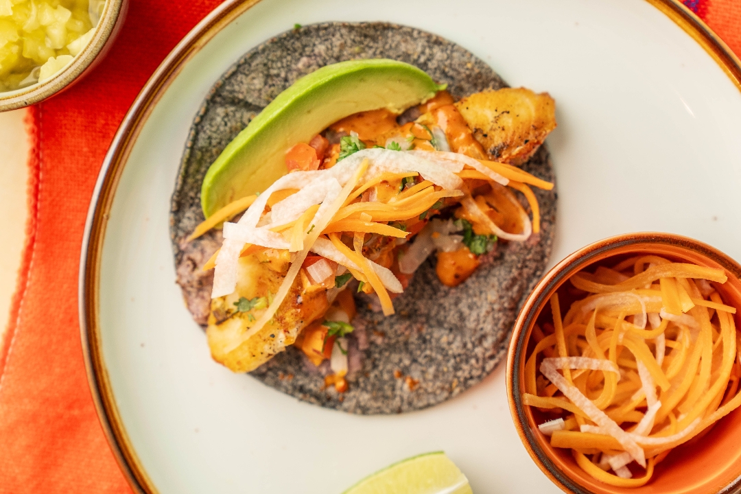 TACO SNAPPER.