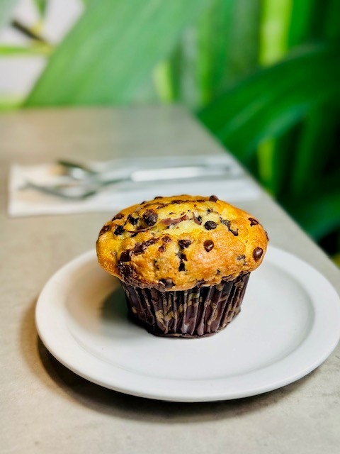 Chocolate Chip Muffin.