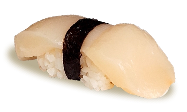 Scallop.