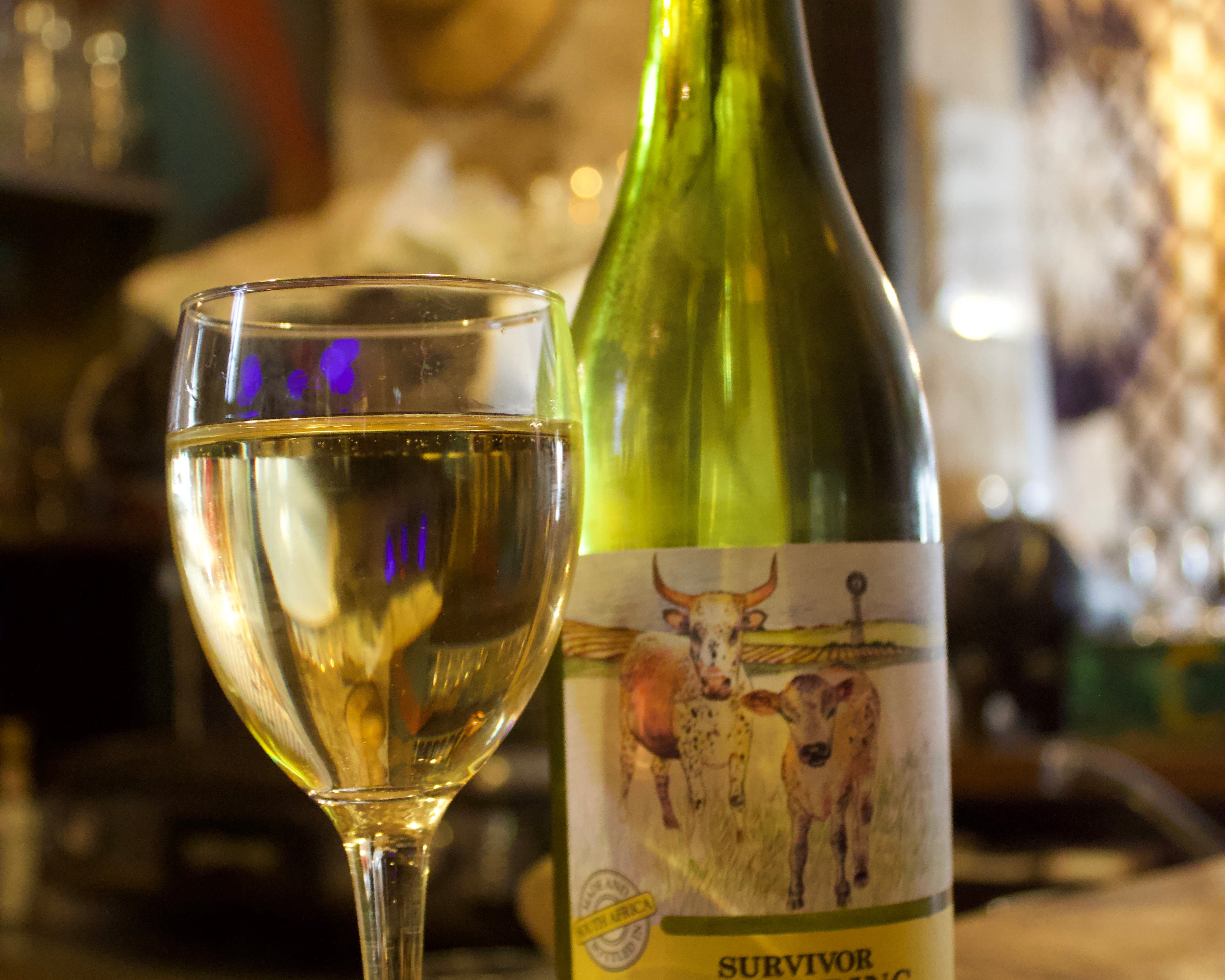 Vin d'Afrique du Sud 🍷