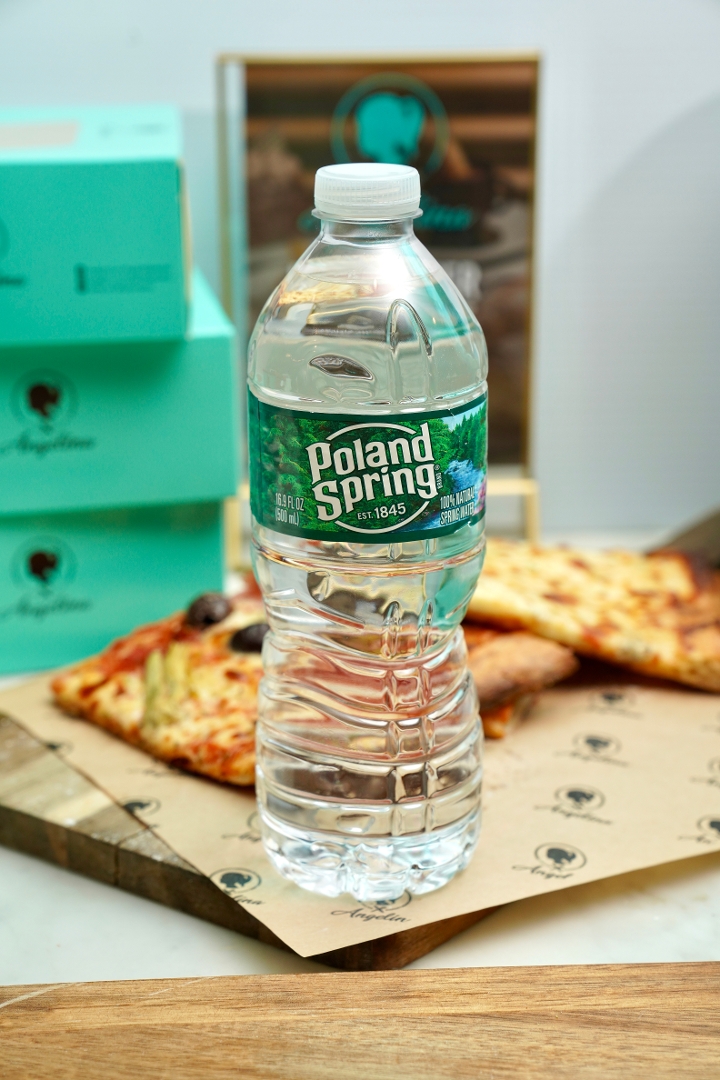 Still Water Bottle.
