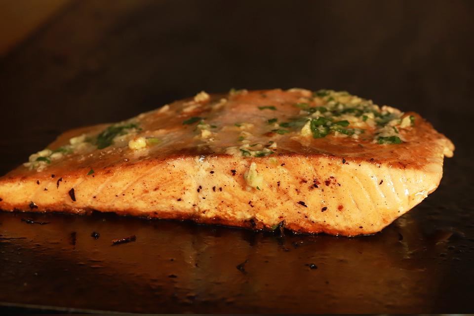Salmon.