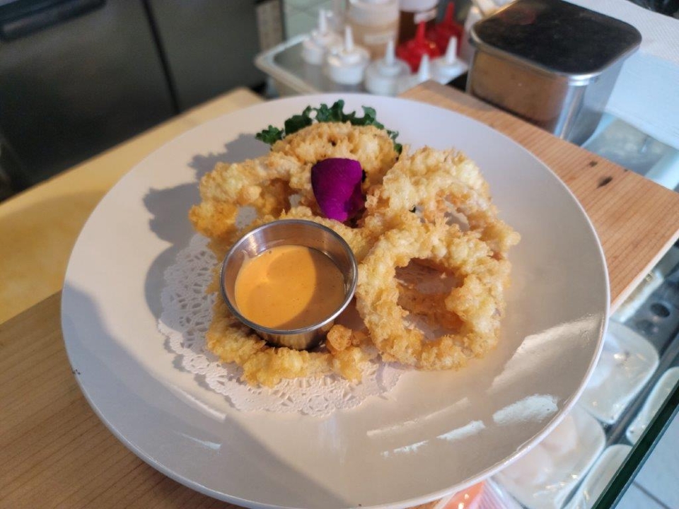 SD9-ONION RINGS.