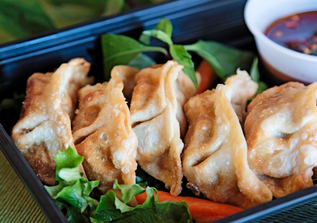 Fried Dumplings (6).
