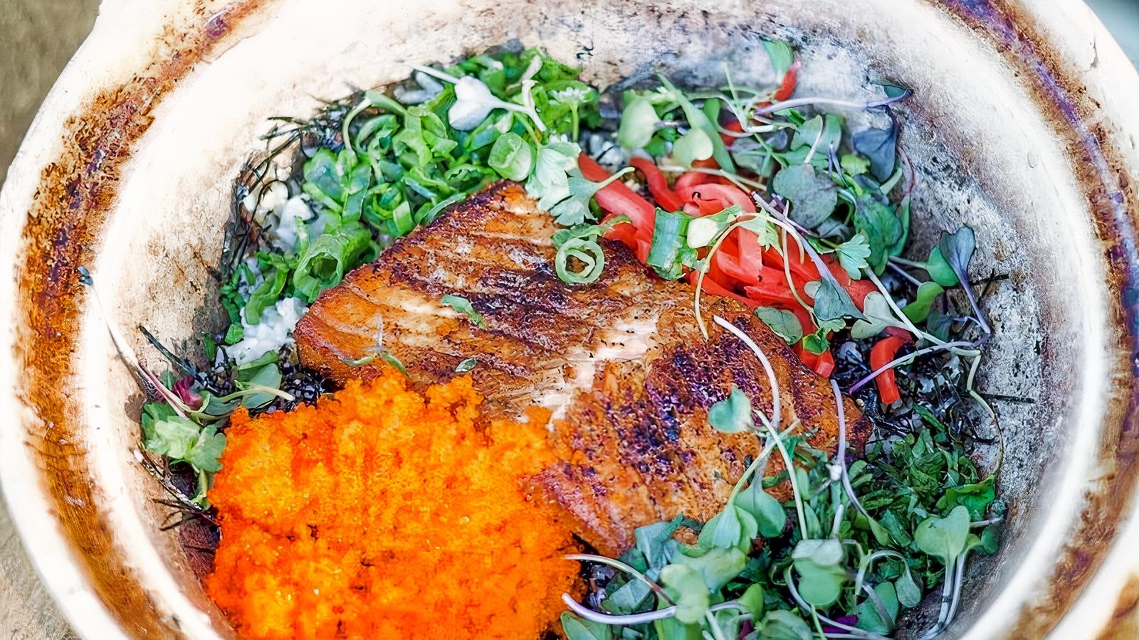 Salmon Donabe.
