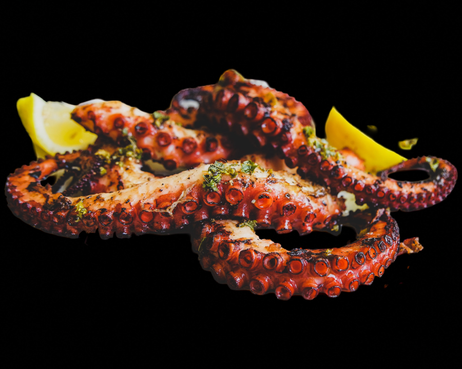 GRILLED OCTOPUS.