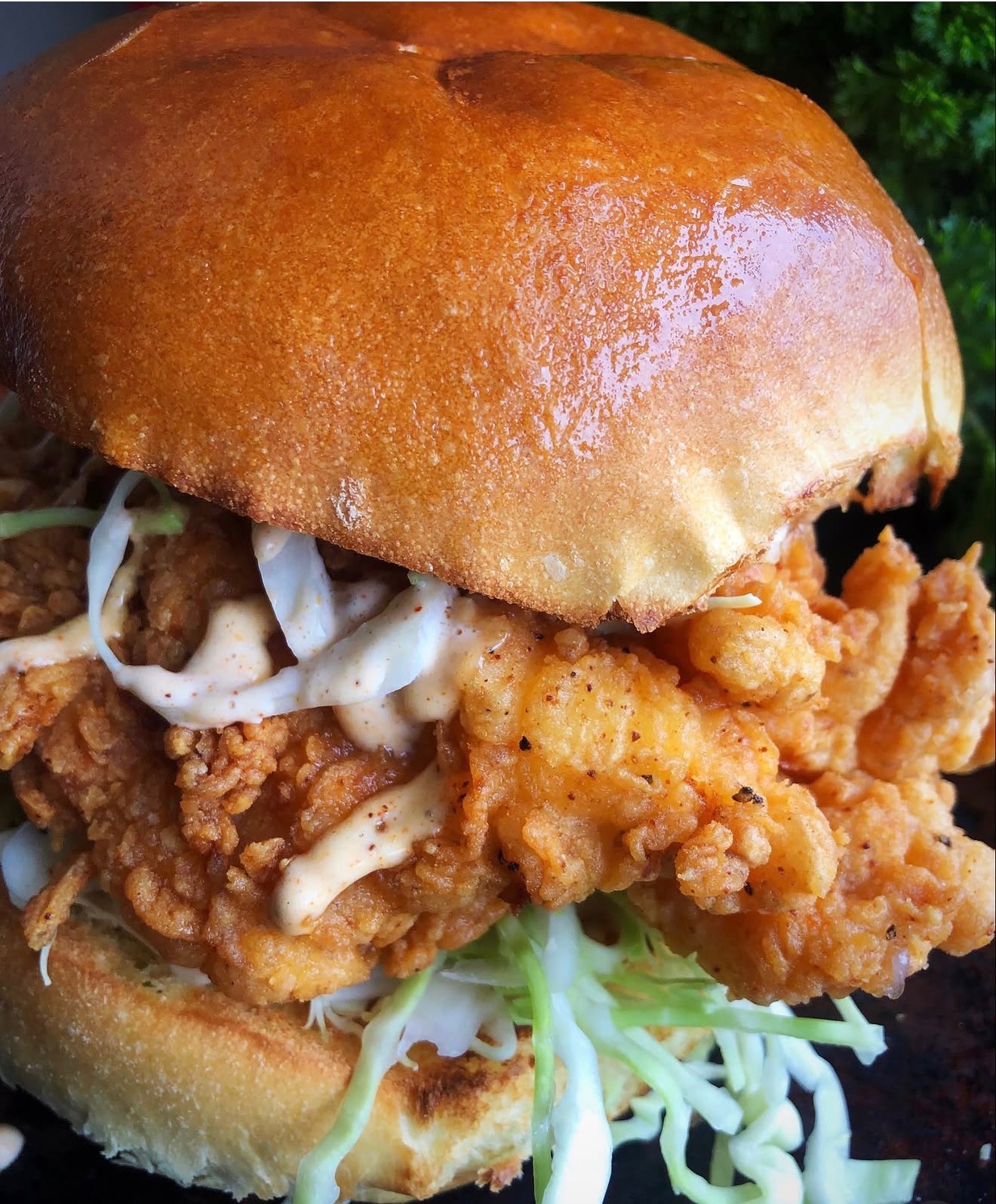 Tashas Zinger Chicken sandwich.
