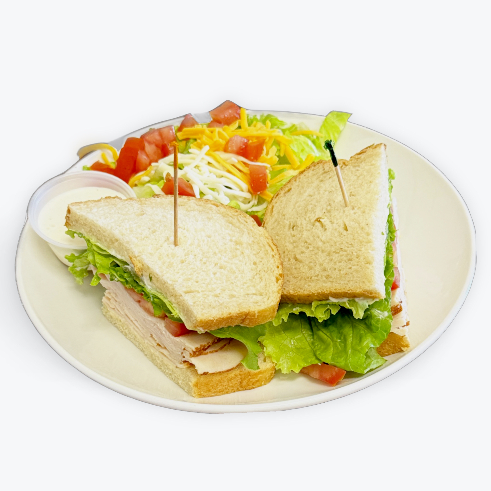 TURKEY SANDWICH.
