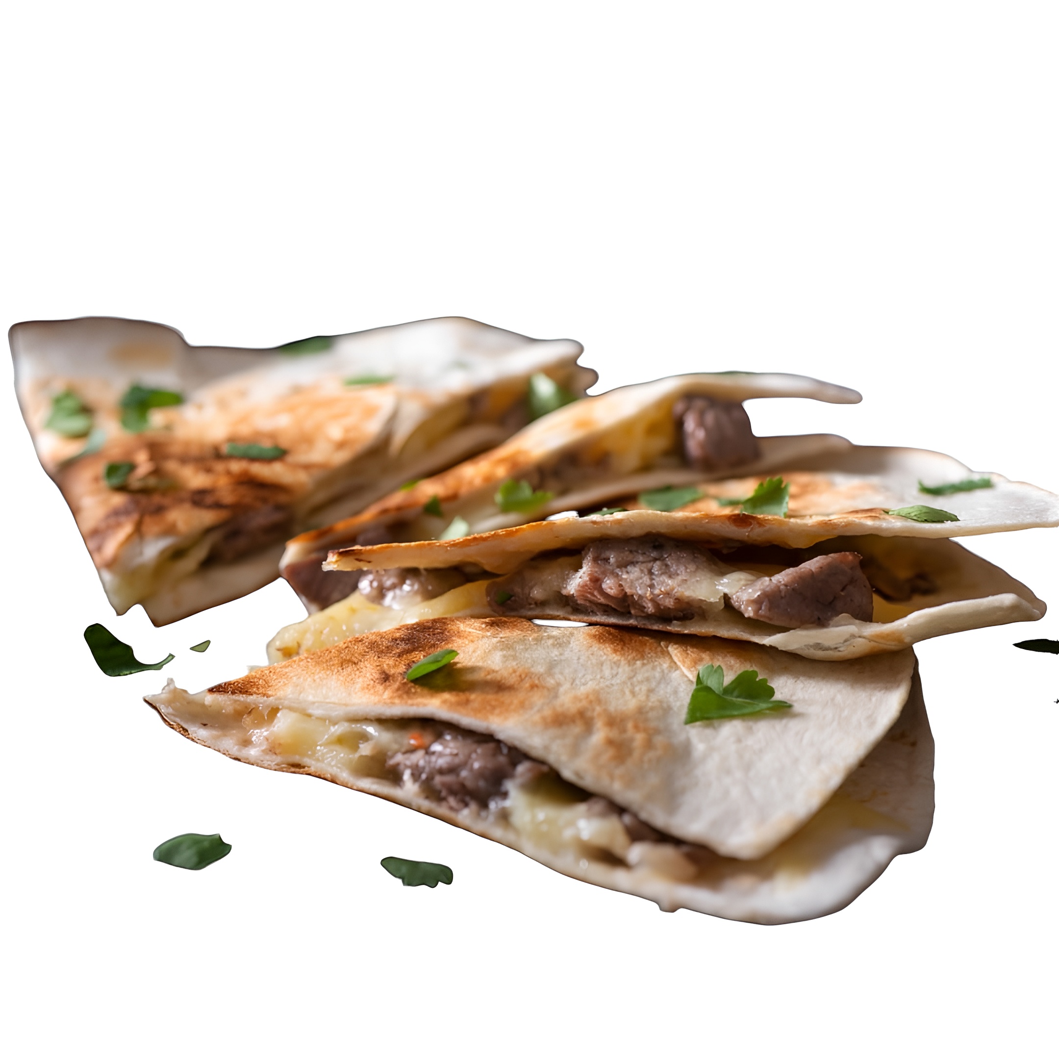 Steak Quesadilla + Fries.