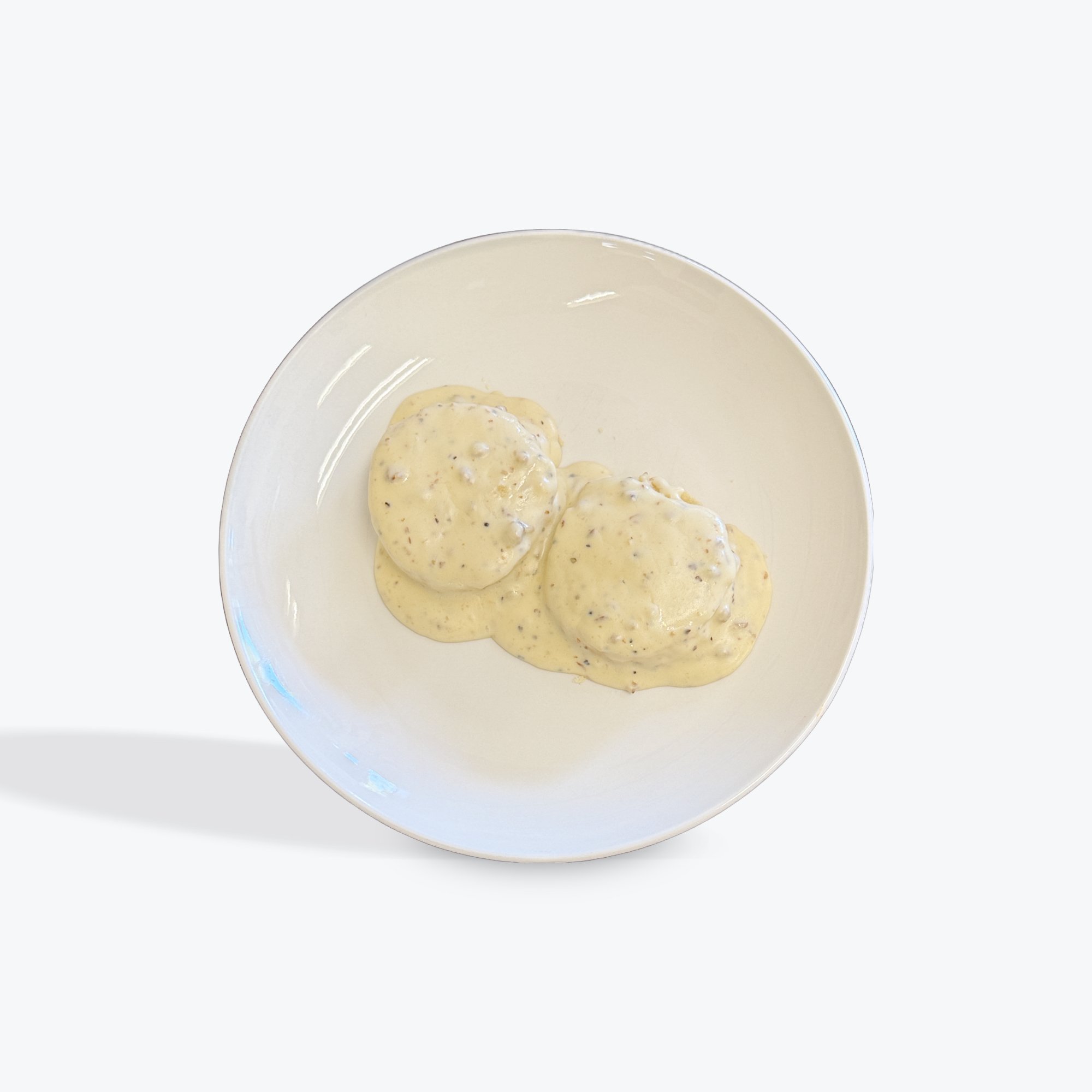 BISCUIT & GRAVY.