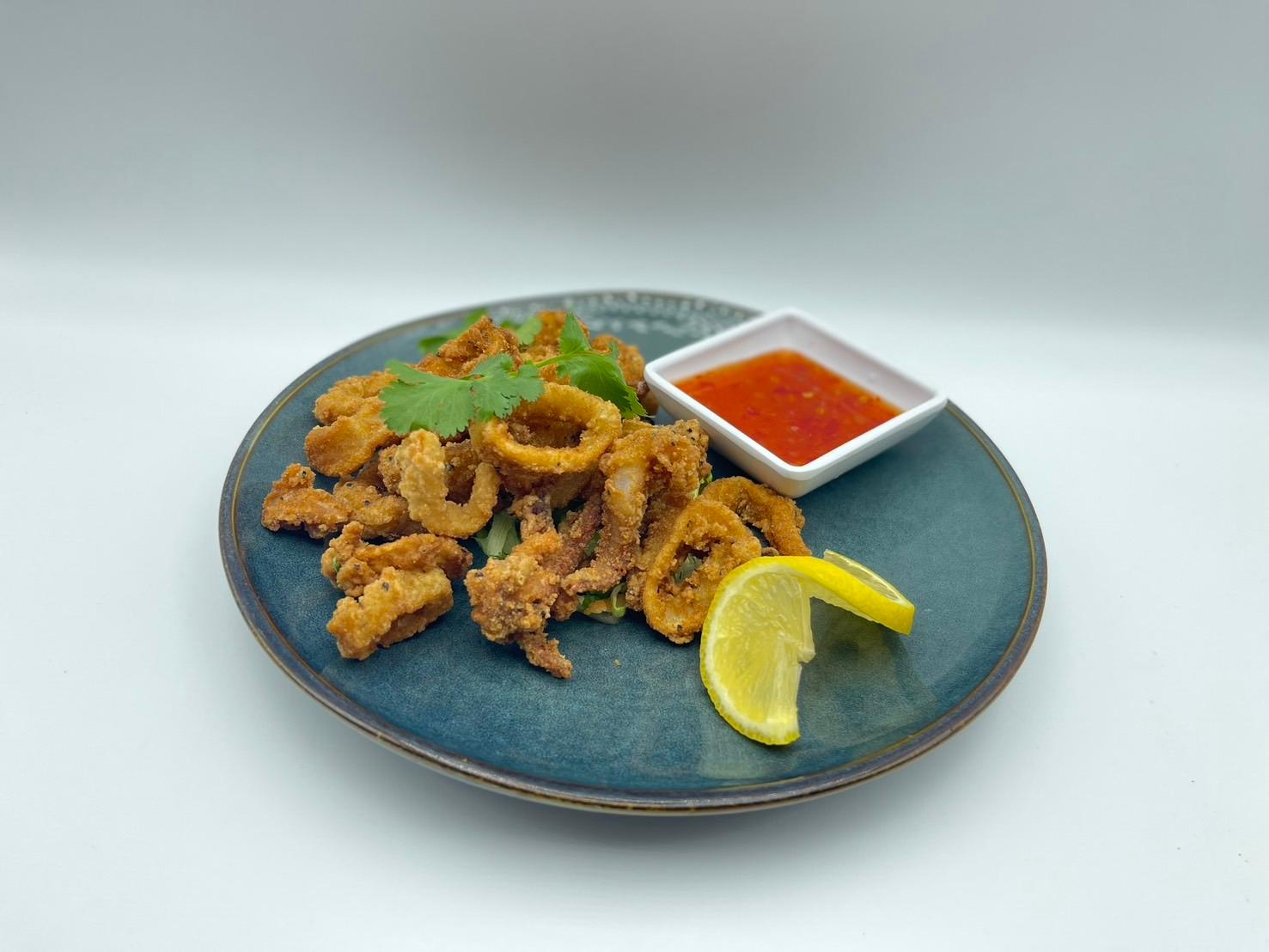 A14 Fried Calamari.