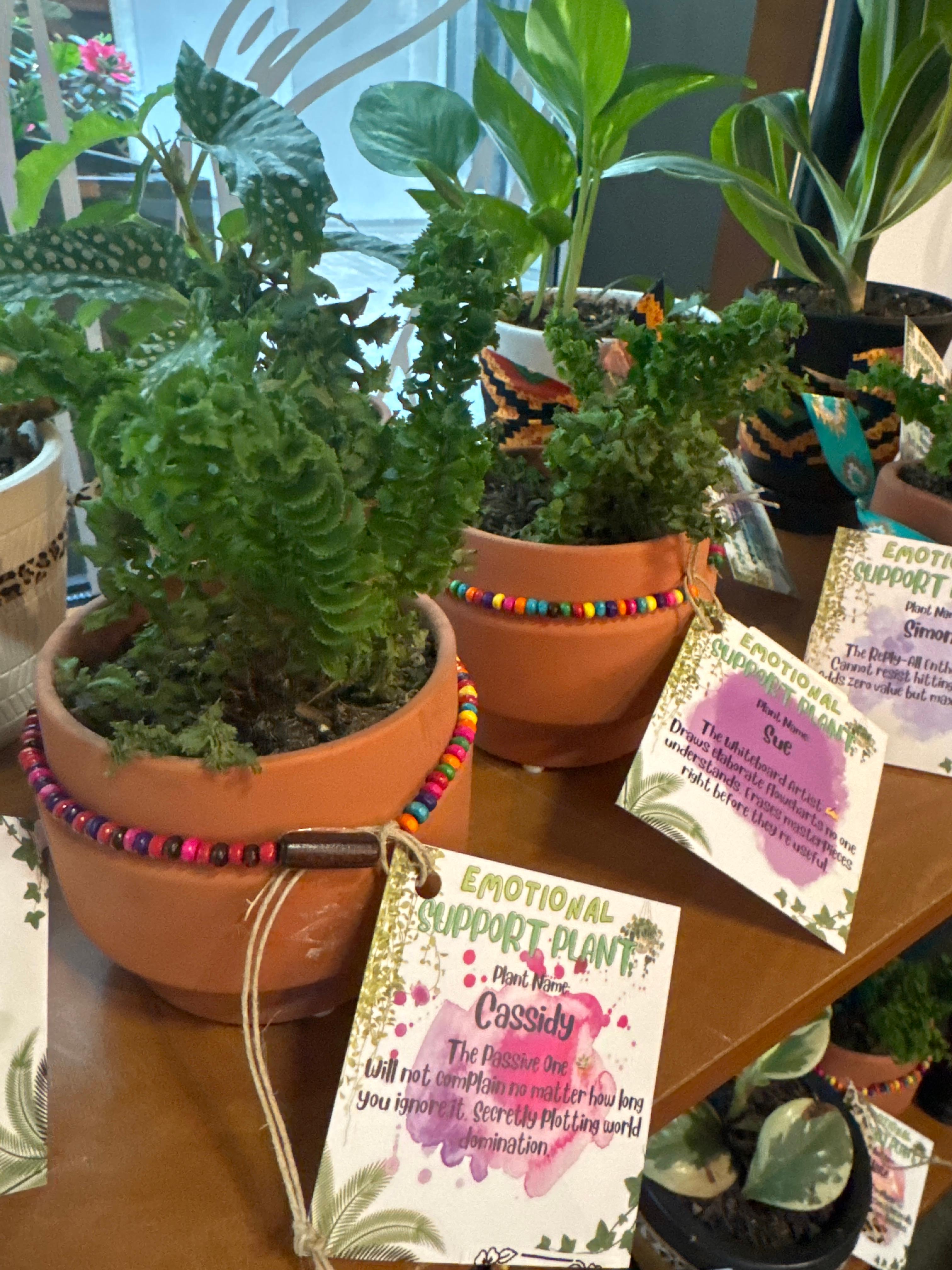 Emotional Support Plant Medium.