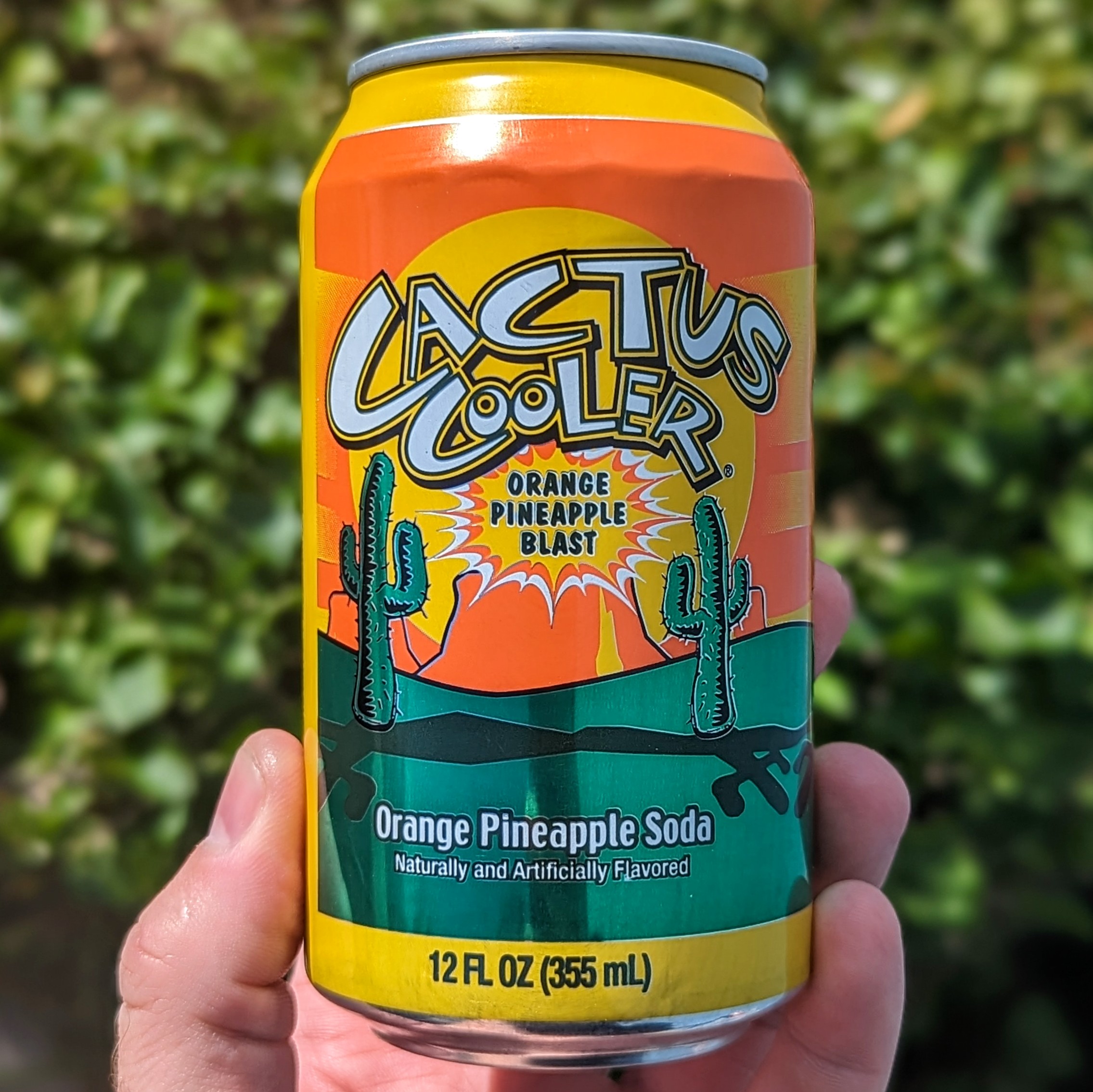cactus cooler