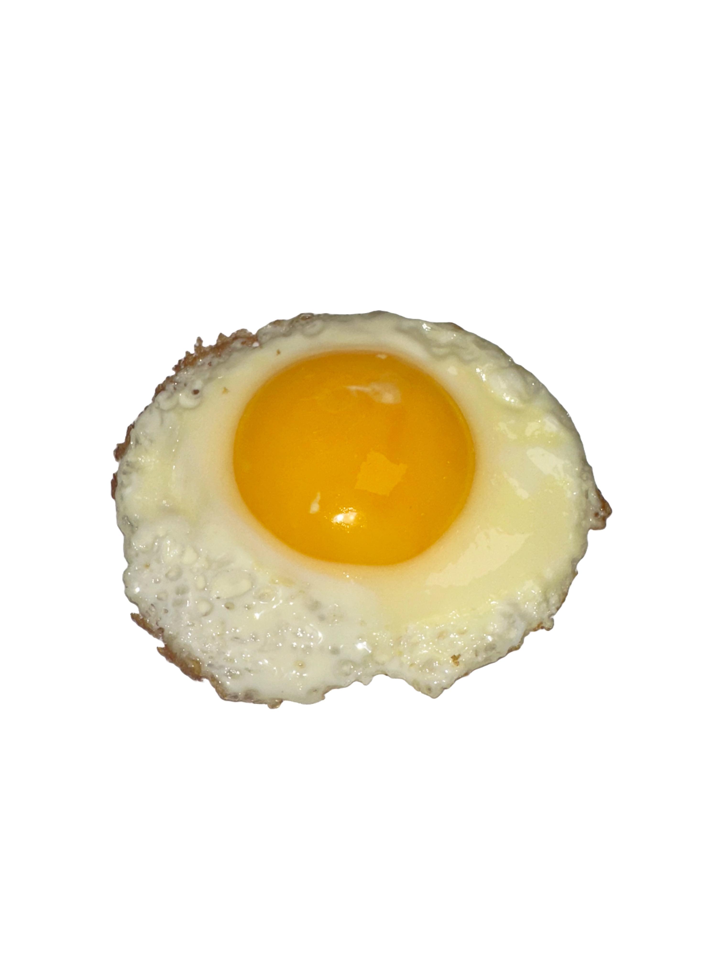 EGG.