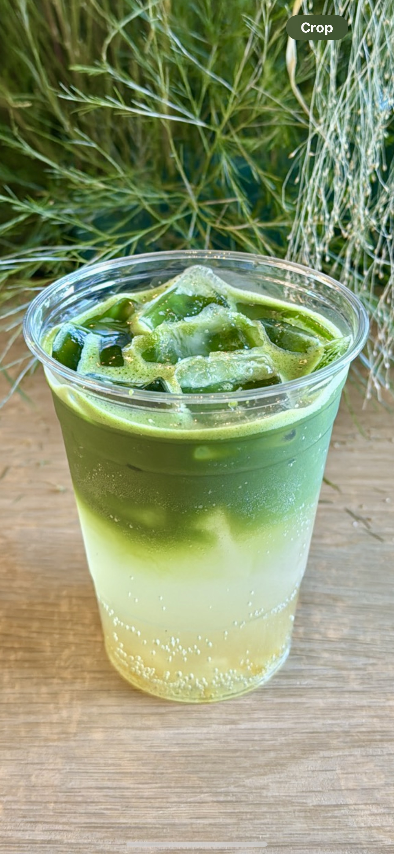 Yuzu Matcha Sparkling.