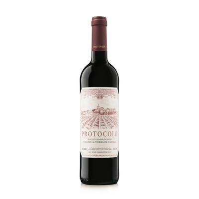 Dominio De Eguren Protocolo Tinto 2020 Red Wine - Spain.