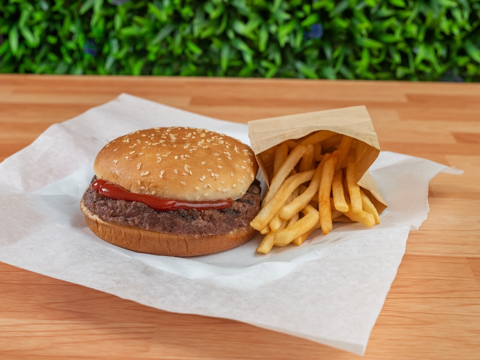 Burger plain with Fries.