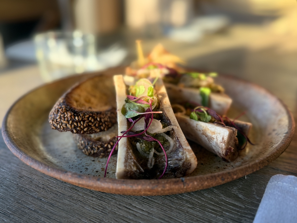 Bone Marrow.