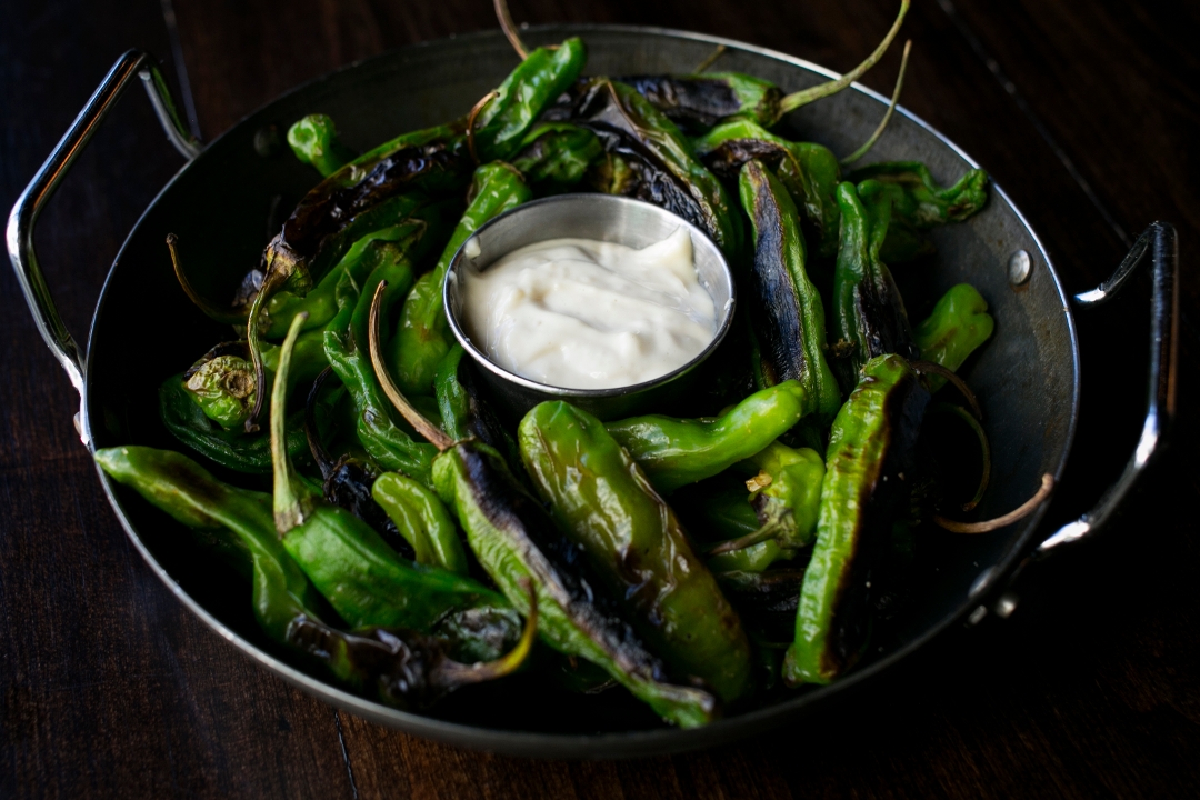 BLISTERED SHISHITOS.
