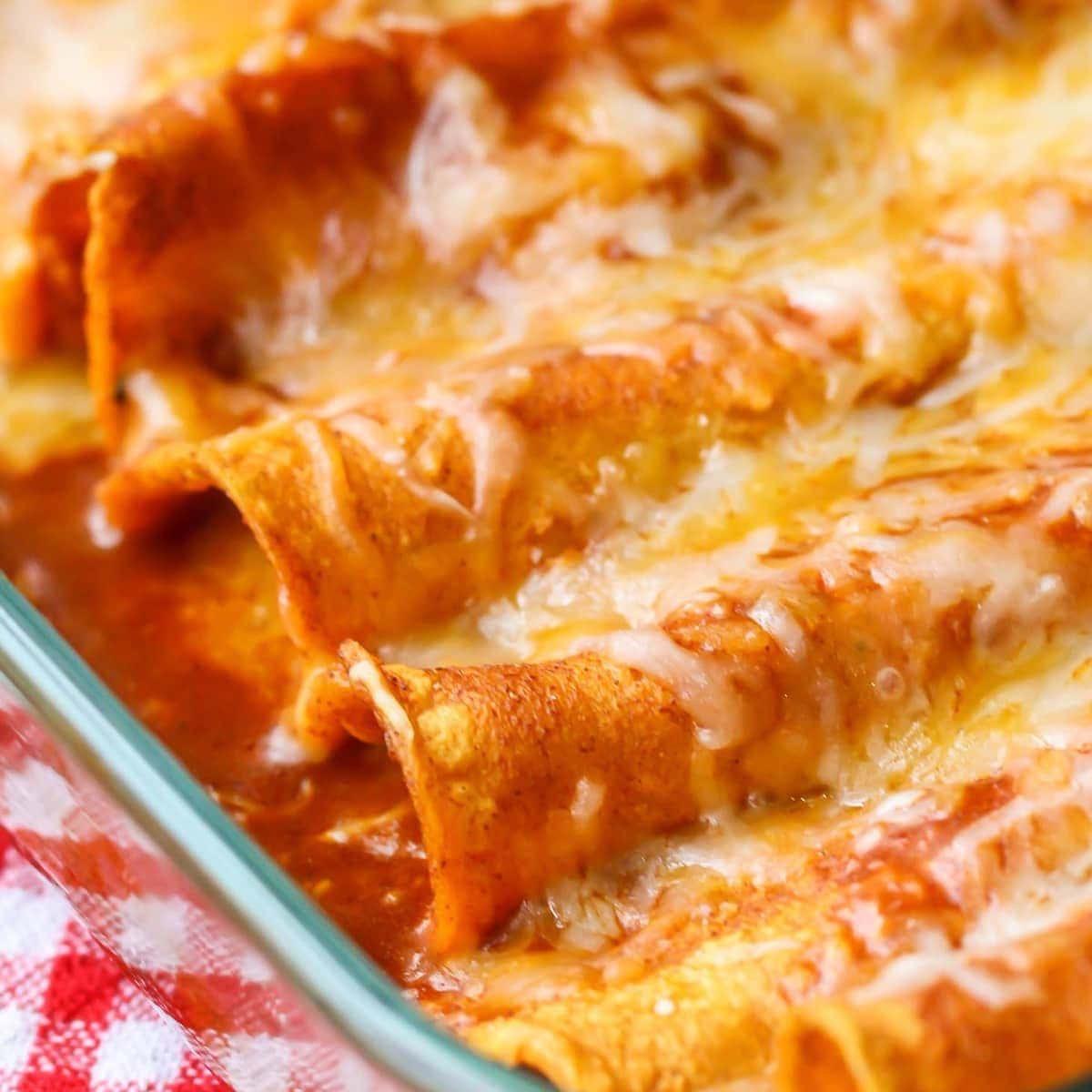 Ala Chicken Enchilada.