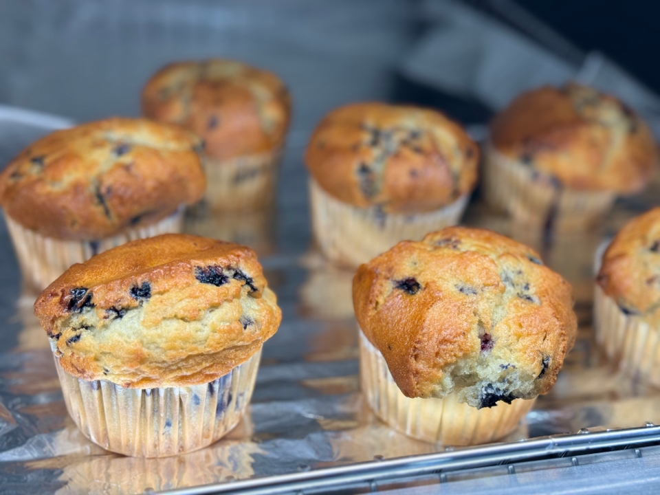 Blueberry Muffin.