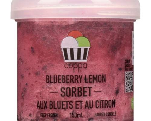 Blueberry Lemon Sorbet (vegan)