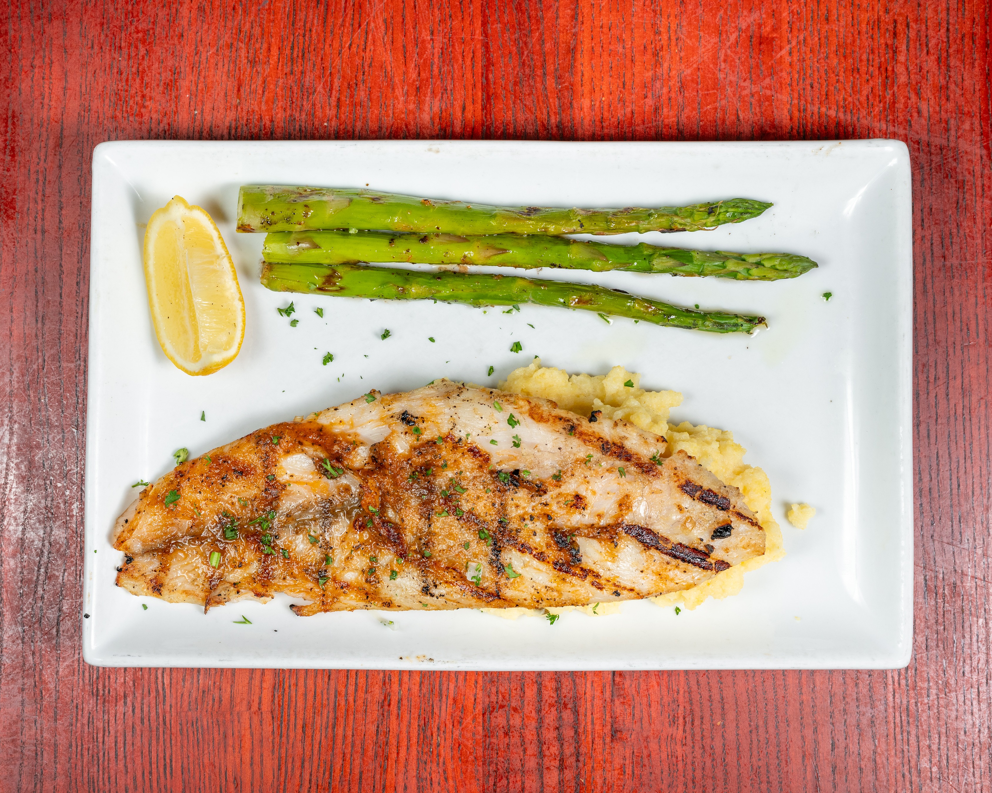 Fish of the Day Redfish.