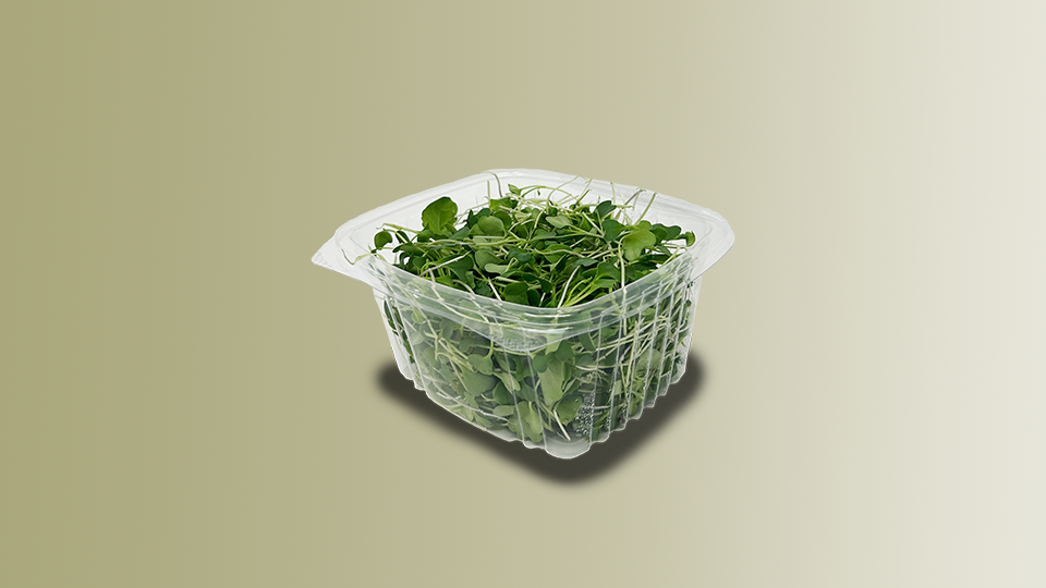 Broccoli Microgreens.