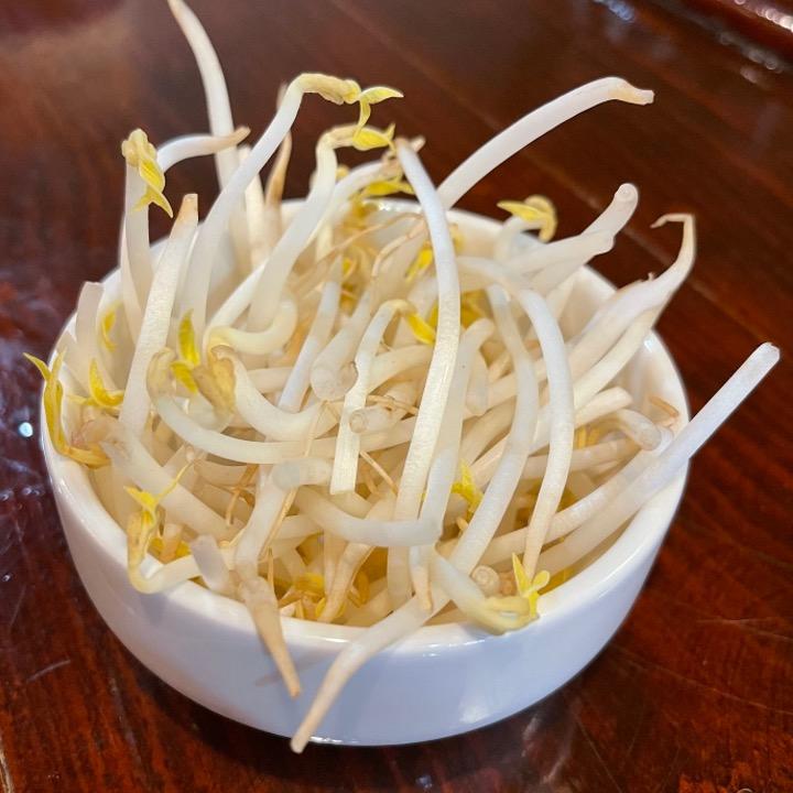 SIDE Bean Sprout.
