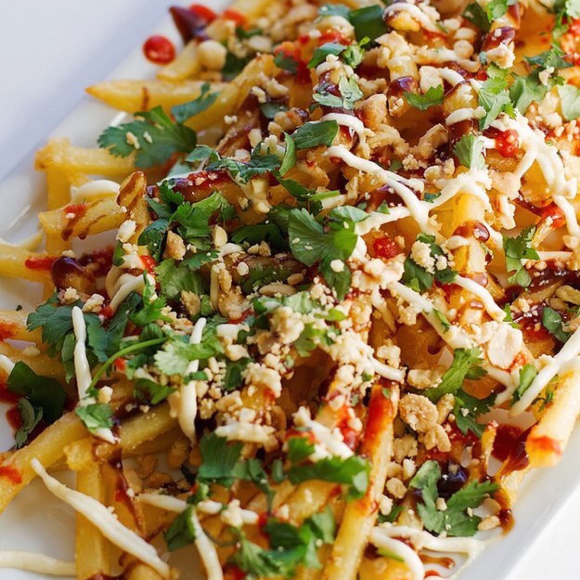 Loaded Fries....
