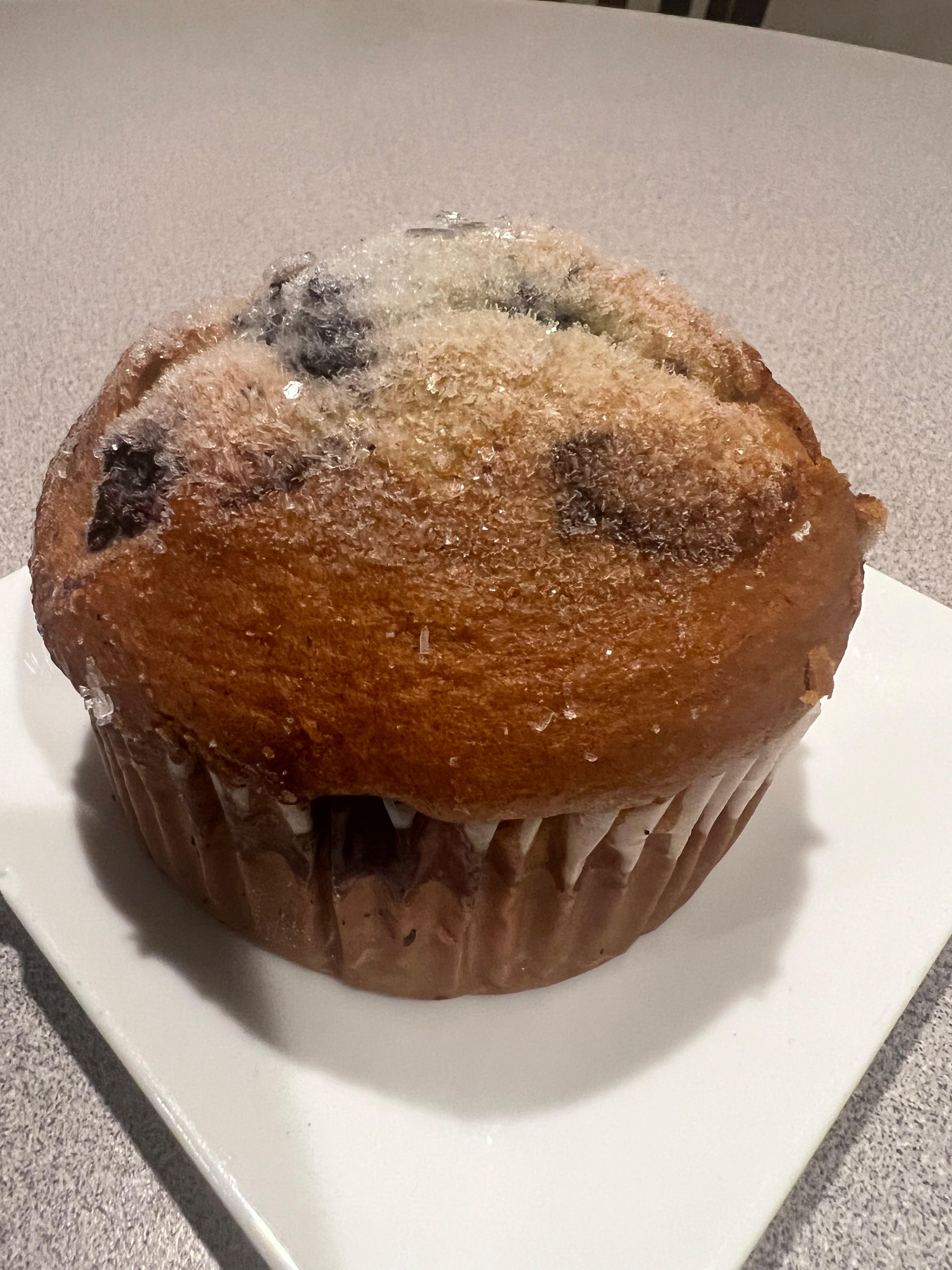 Blueberry Muffin.