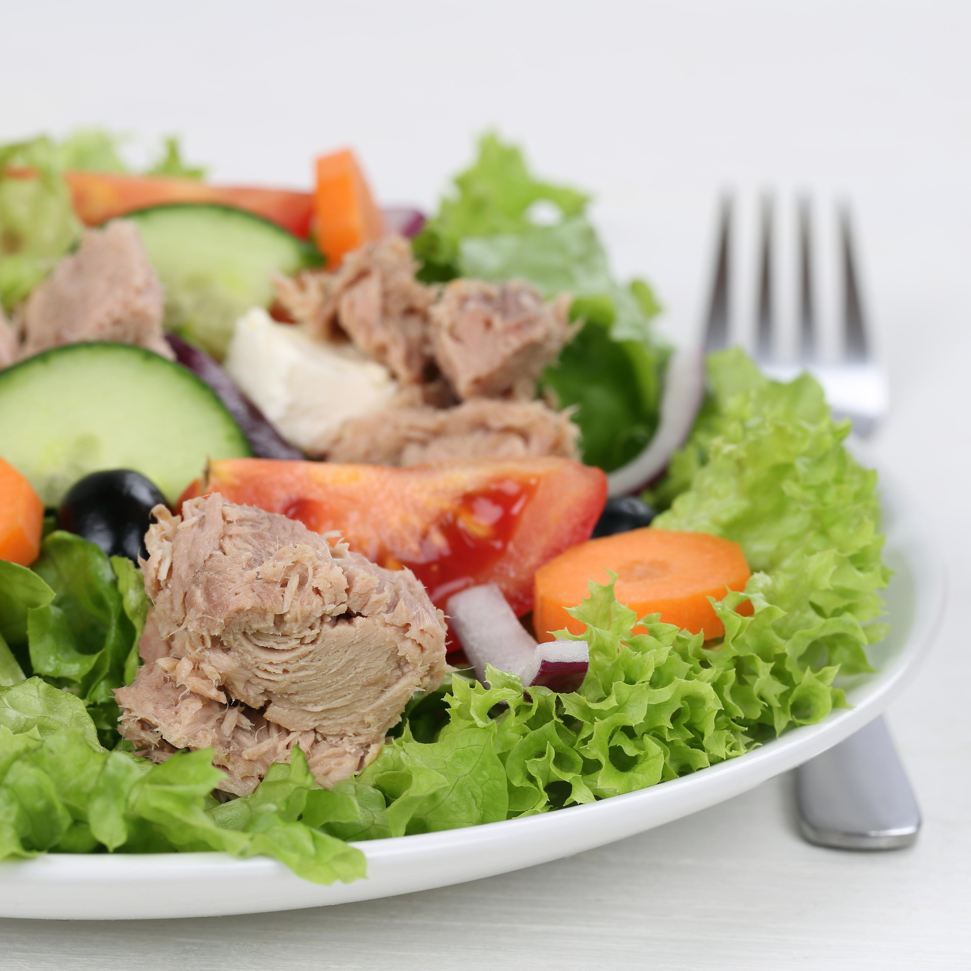 Appetizer Tuna Fish Salad.