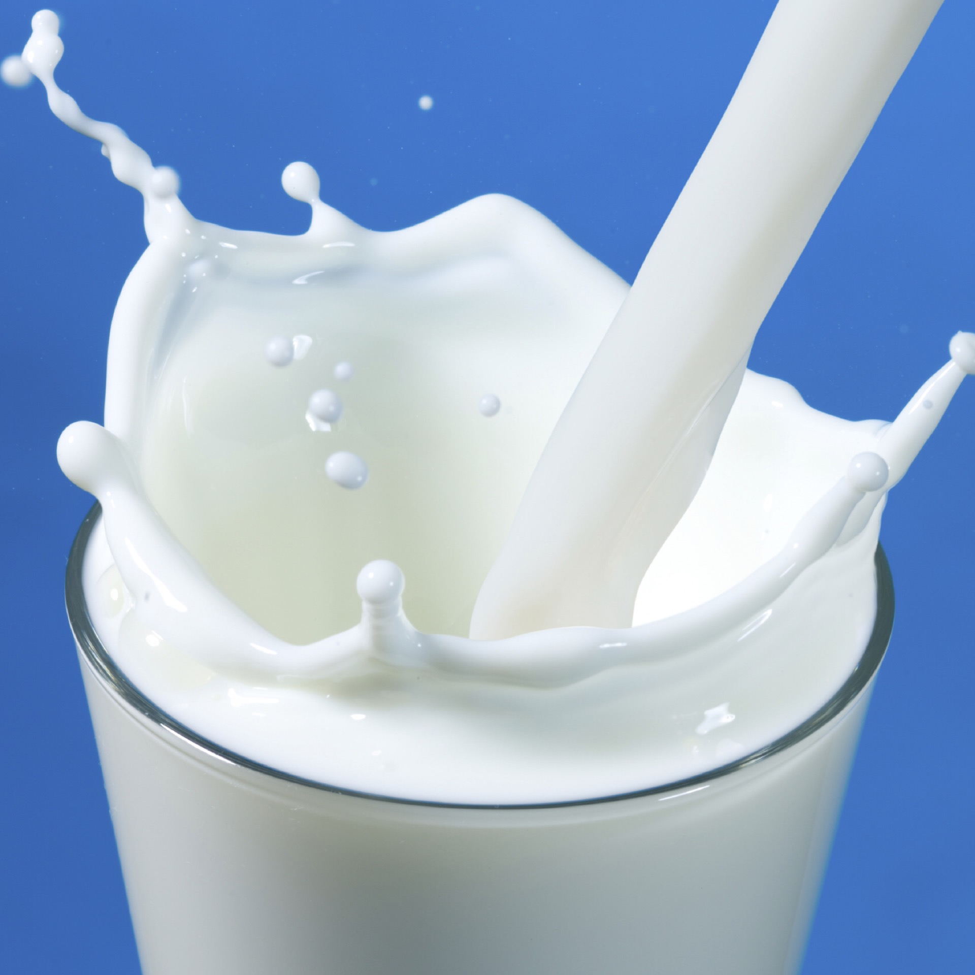 Milk - 12 oz.