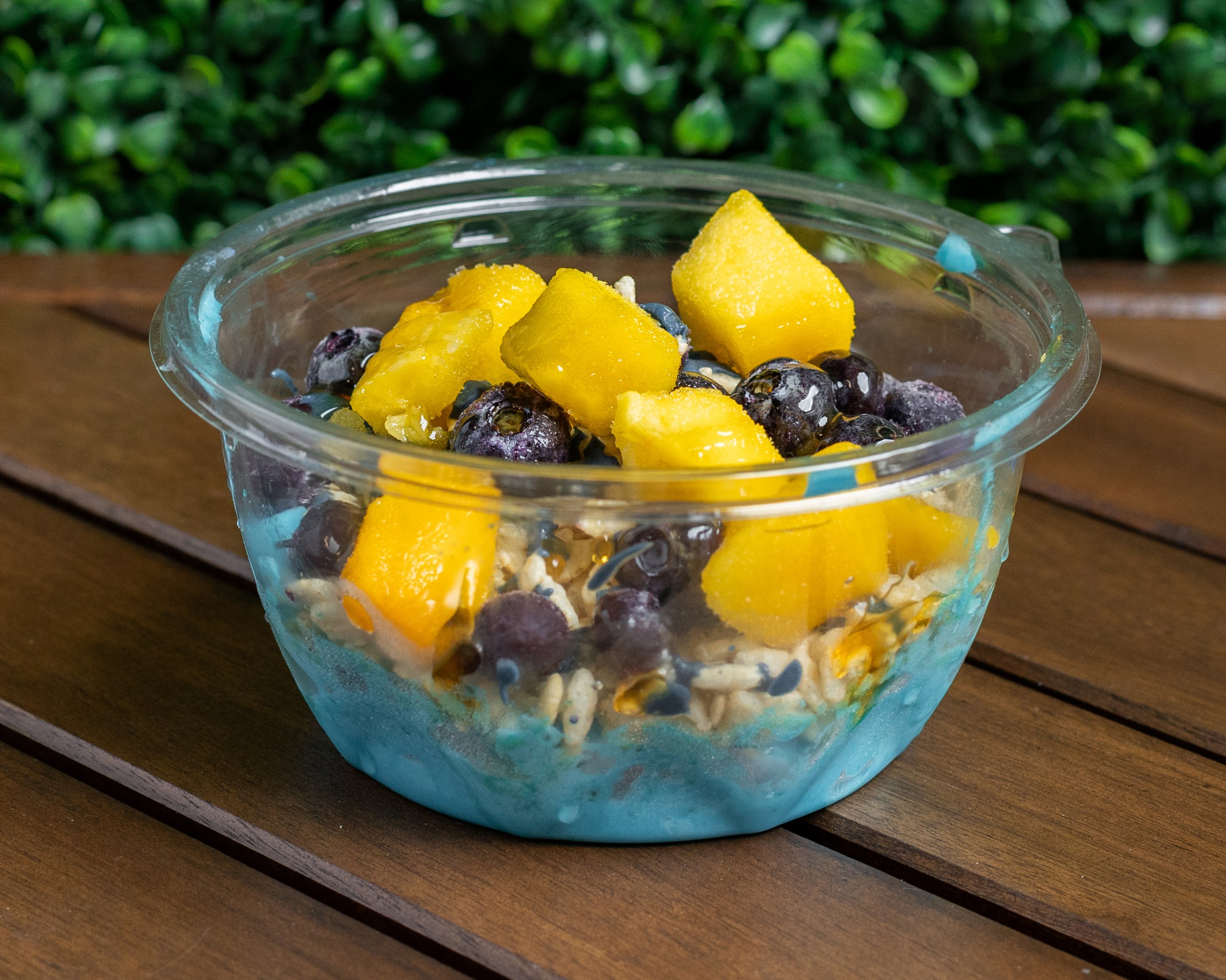 Blue Spirulina Bowl.