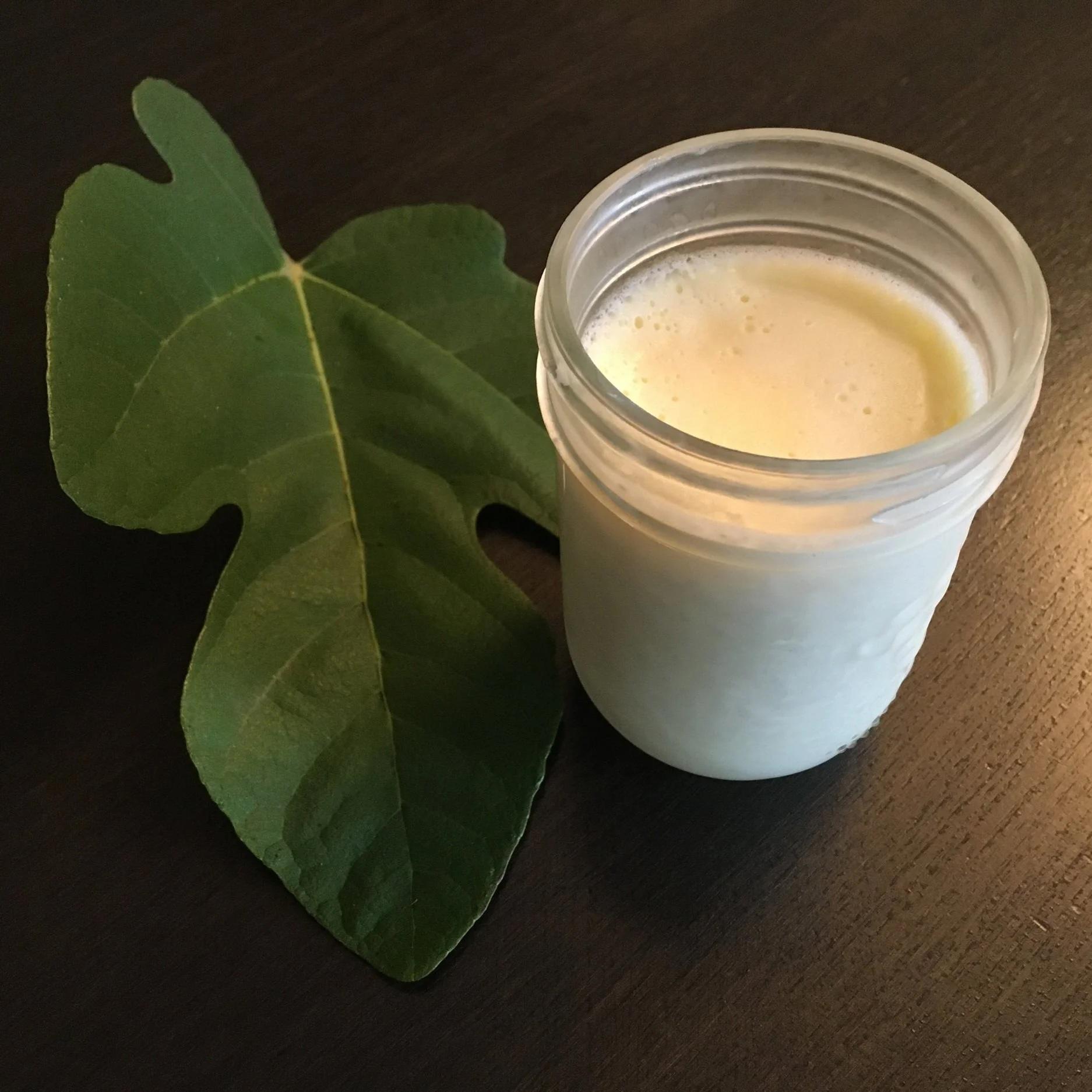 Fig Panna Cotta.